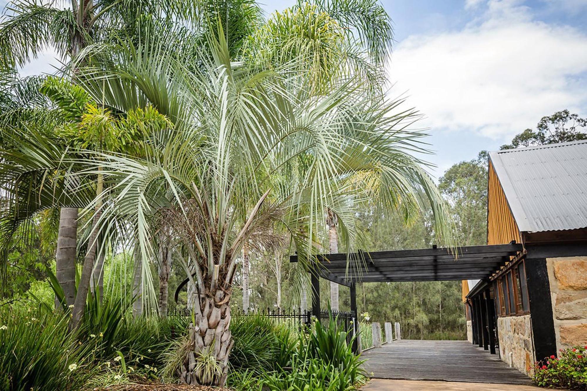 Peppers Creek Accommodation Pokolbin Luaran gambar